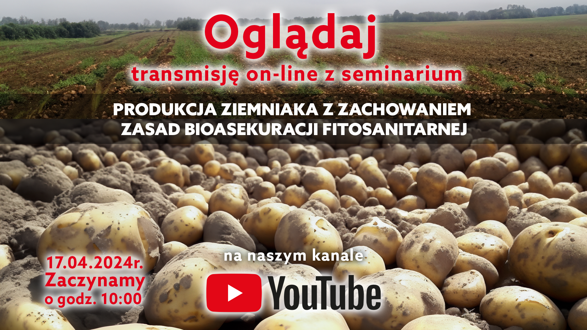 Transmisja seminarium pn. „Produkcja ziemniaka z zachowaniem zasad bioasekuracji fitosanitarnej”, 17 kwietnia 2024