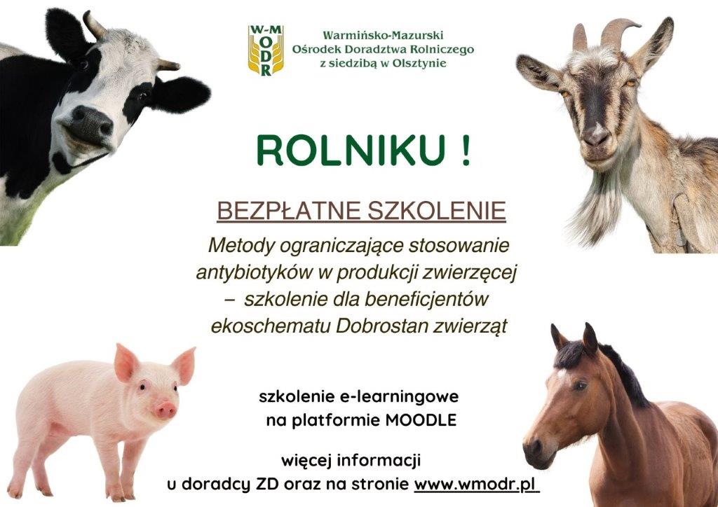Bezpłatne szkolenie „Metody ograniczające stosowanie antybiotyków w produkcji zwierzęcej – szkolenie dla beneficjentów ekoschematu Dobrostan zwierząt”