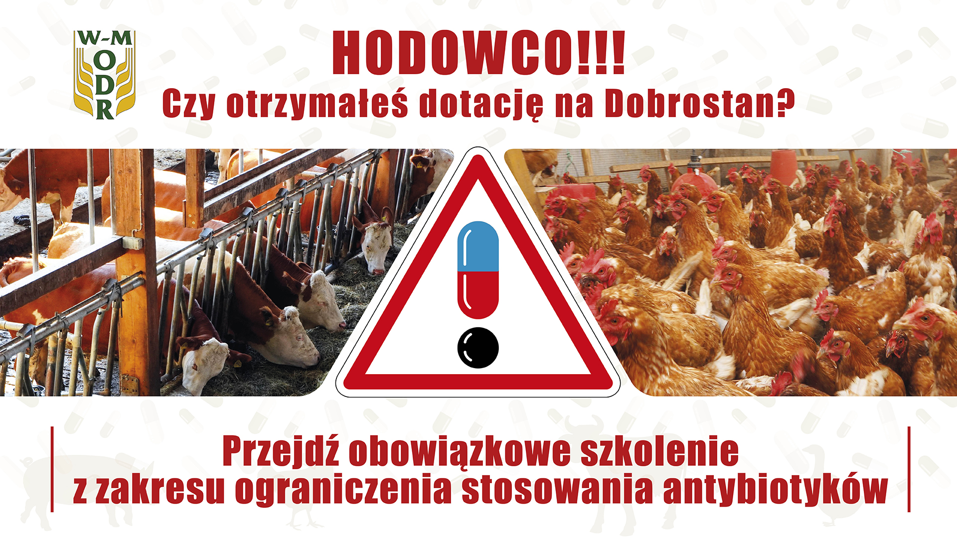 Bezpłatne szkolenie „Metody ograniczające stosowanie antybiotyków w produkcji zwierzęcej – szkolenie dla beneficjentów ekoschematu Dobrostan zwierząt”