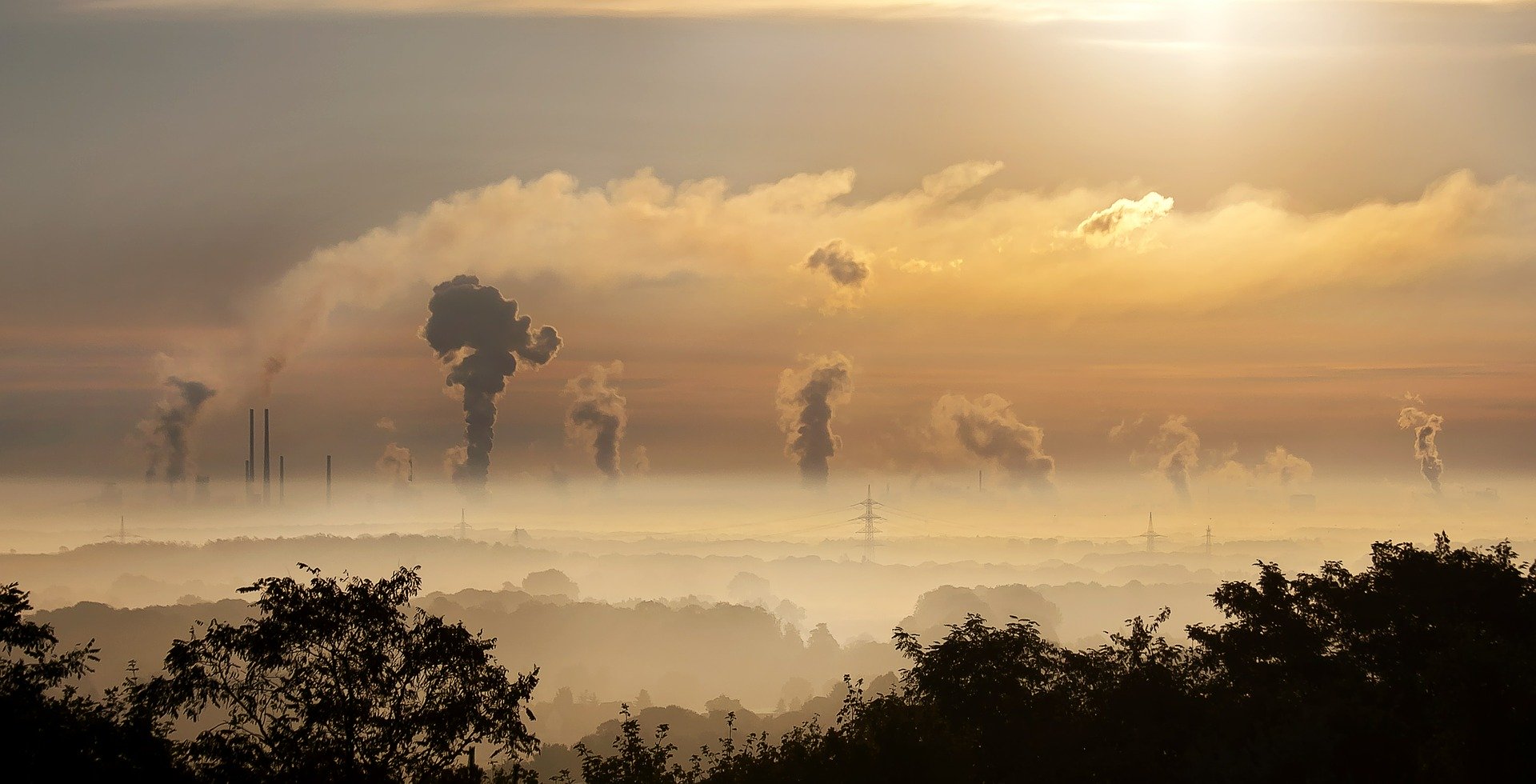 Niska emisja i smog na obszarach wiejskich - jak im przeciwdziałać?
