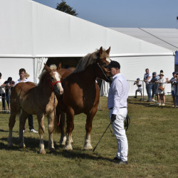 07-08.09.2024 r.  agroWARMA 2024 - XXX Jubileuszowe Jesienne Targi Rolnicze