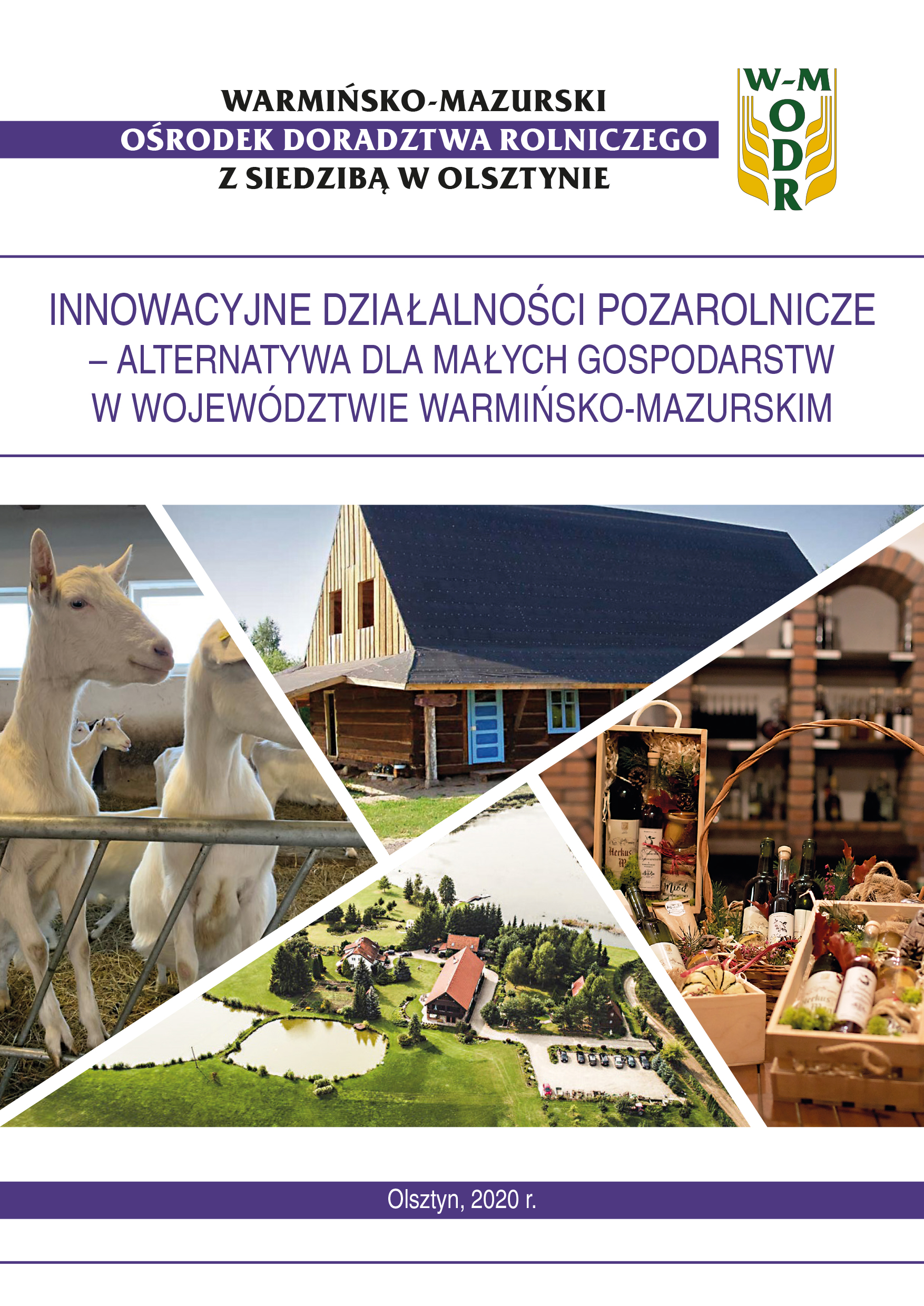 Innowacyjne działalności pozarolnicze – alternatywa dla małych gospodarstw w województwie warmińsko-mazurskim