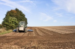 Agrotechnika jako ważny elementem ograniczający populację szkodników na polach uprawnych