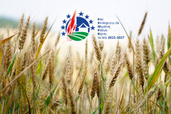 Płatności w ramach Interwencji: Rolnictwo ekologiczne w kampanii 2024