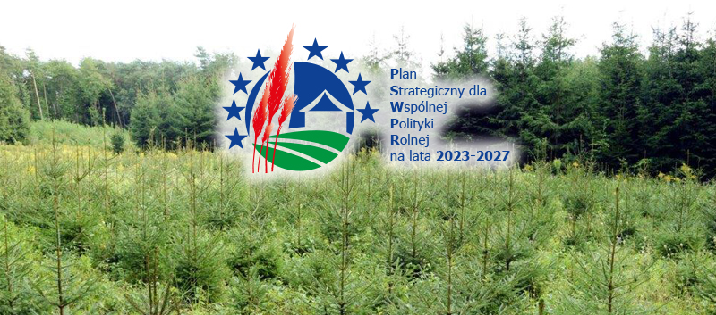 Nabór wniosków o przyznanie wsparcia inwestycji leśnych lub zadrzewieniowych w ramach PS dla WPR 2023-2027.