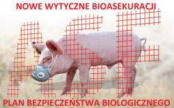 Dodatkowe wymagania bioasekuracji ASF w gospodarstwach utrzymujących świnie - obowiązujące od 1 listopada