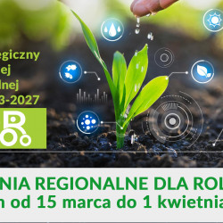 Krajowy Plan Strategiczny dla Wspólnej Polityki Rolnej na lata 2023-2027 (okres przejściowy, nowe interwencje/działania, nowe wyzwania dla rolników)