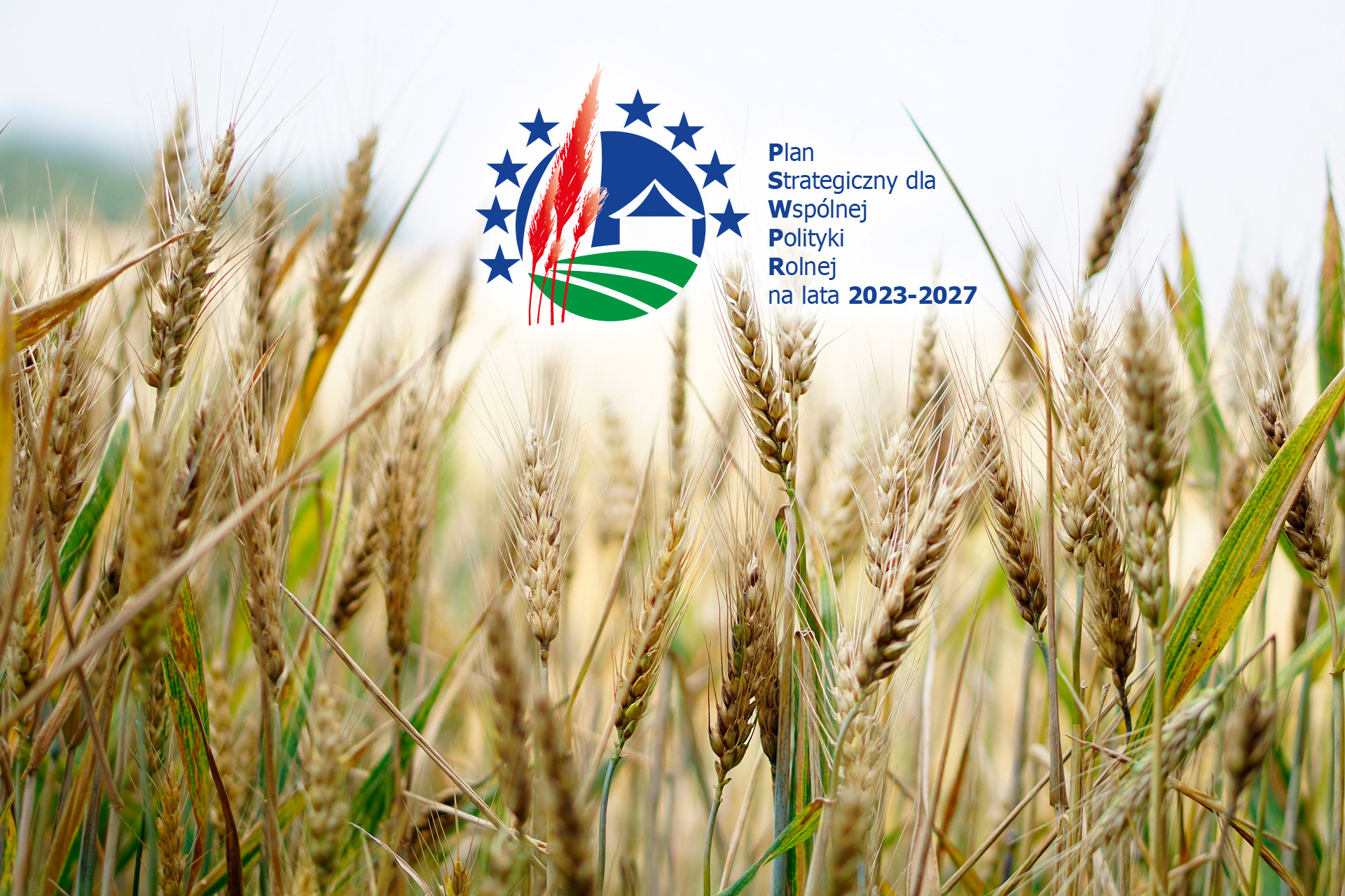 Płatności w ramach Interwencji Rolnictwo ekologiczne w kamapnii 2023