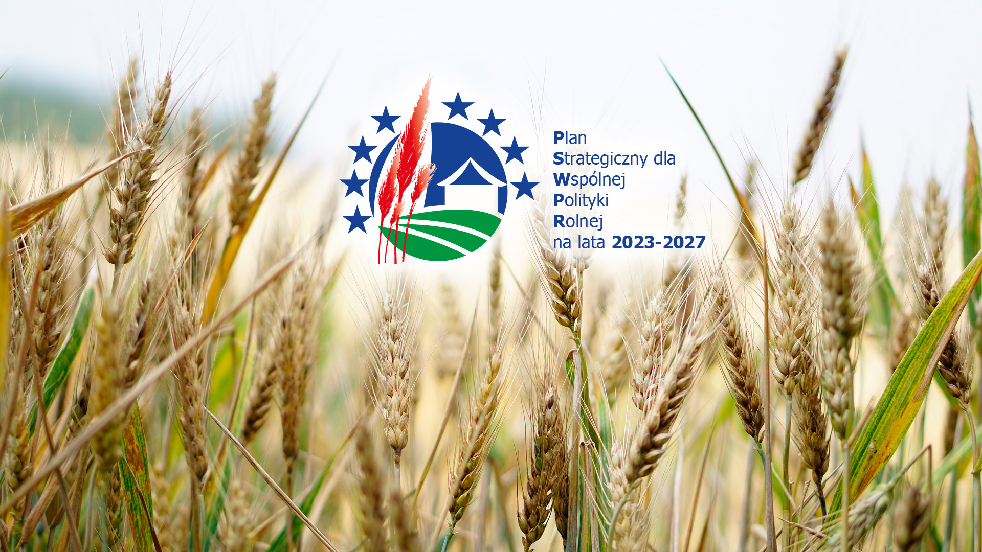 Płatności w ramach interwencji Rolnictwo ekologiczne w kampanii 2023