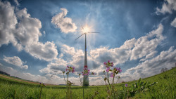 WARSZTATY pn. „Odnawialne źródła energii w rolnictwie – fakty i mity”, 19.10.2023 r.