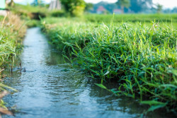 Wpływ zmian klimatu na stan środowiska wodnego