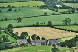 Płatności dla małych gospodarstw i do gruntów wyłączonych z produkcji – termin składania wniosków przesunięty