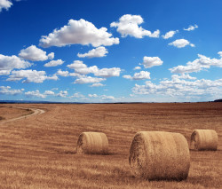 Średnia powierzchnia gruntów rolnych w gospodarstwie w 2023 roku