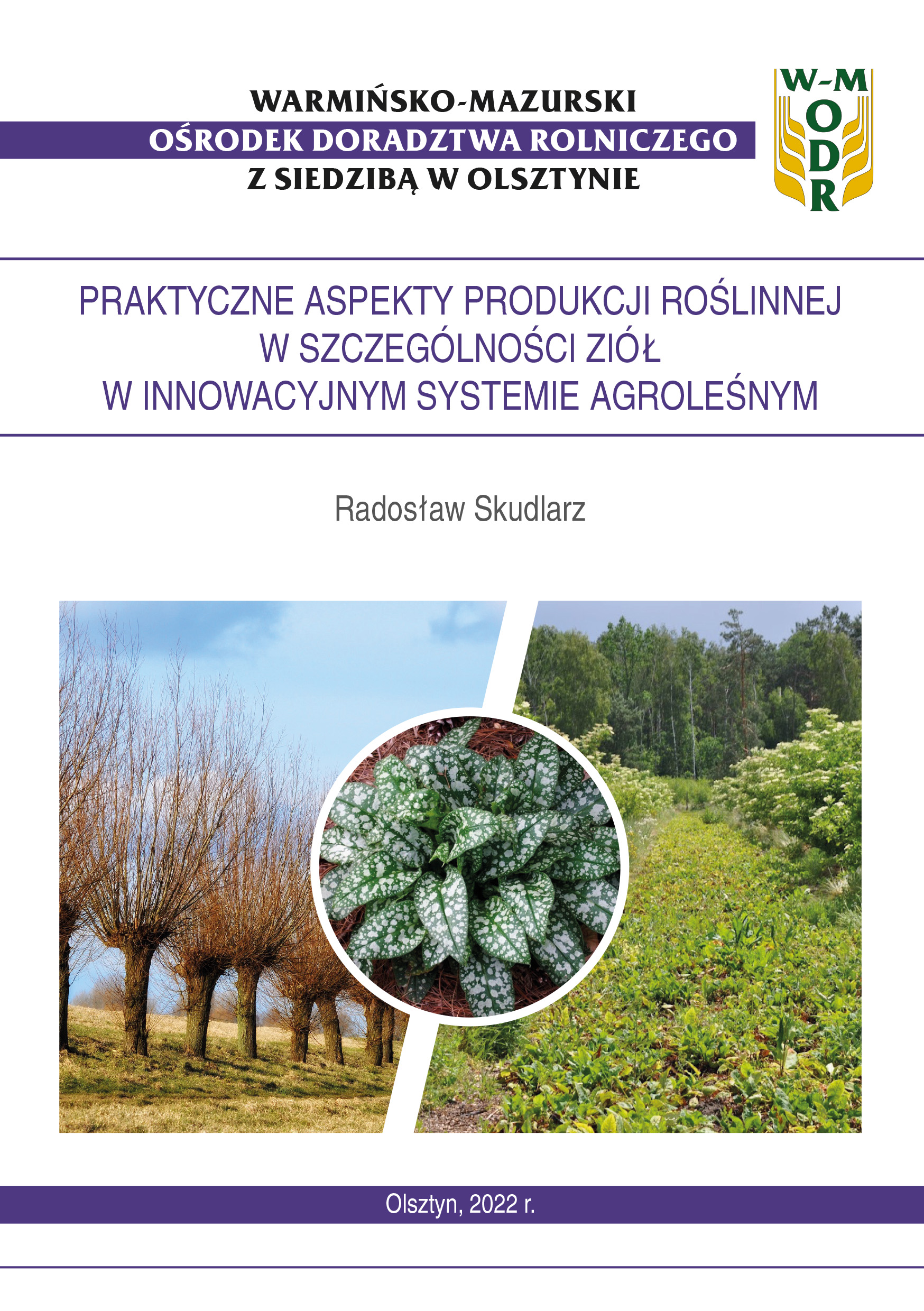 Praktyczne aspekty produkcji roślinnej w szczególności ziół w innowacyjnym systemie agroleśnym