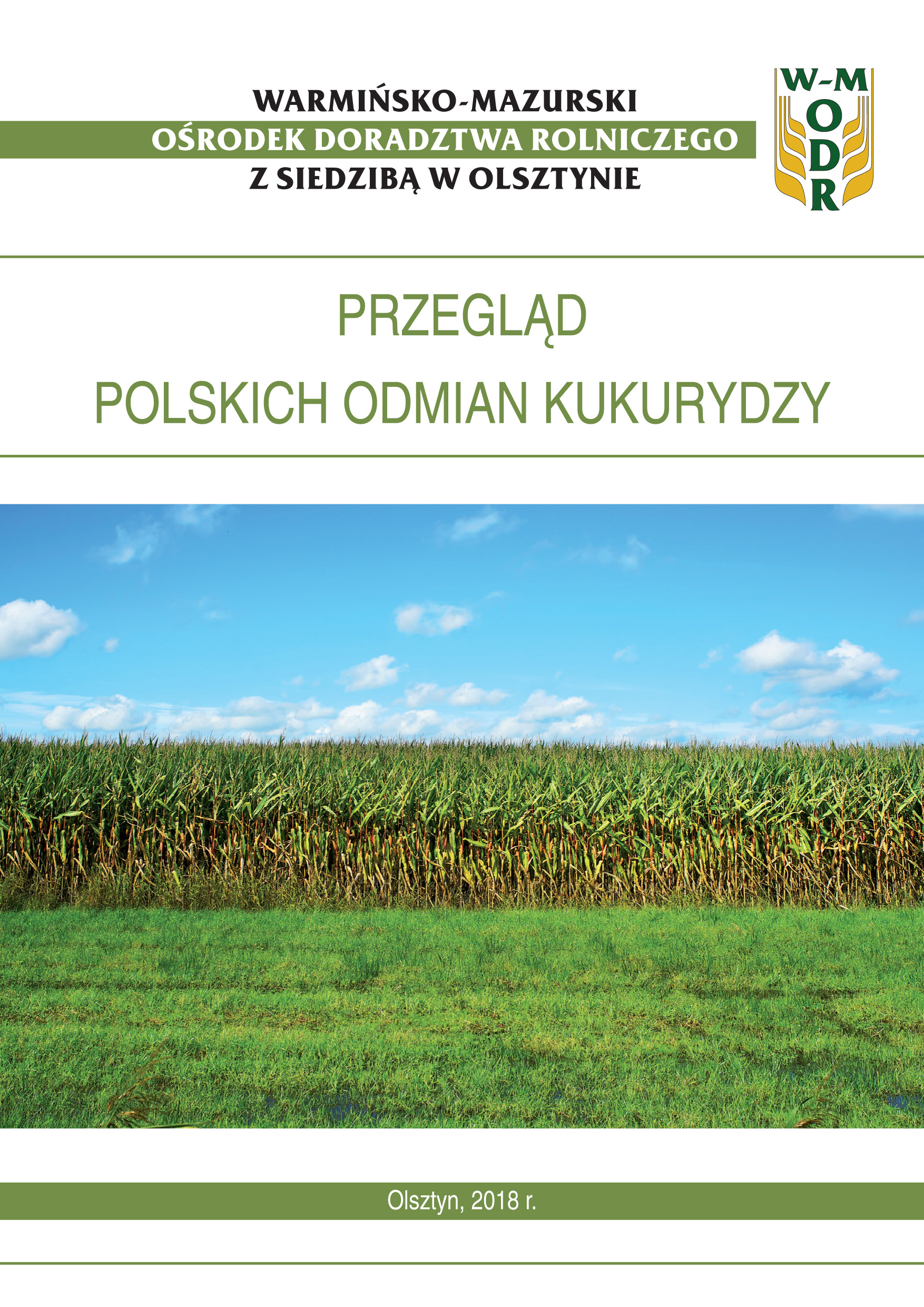 Przegląd polskich odmian kukurydzy