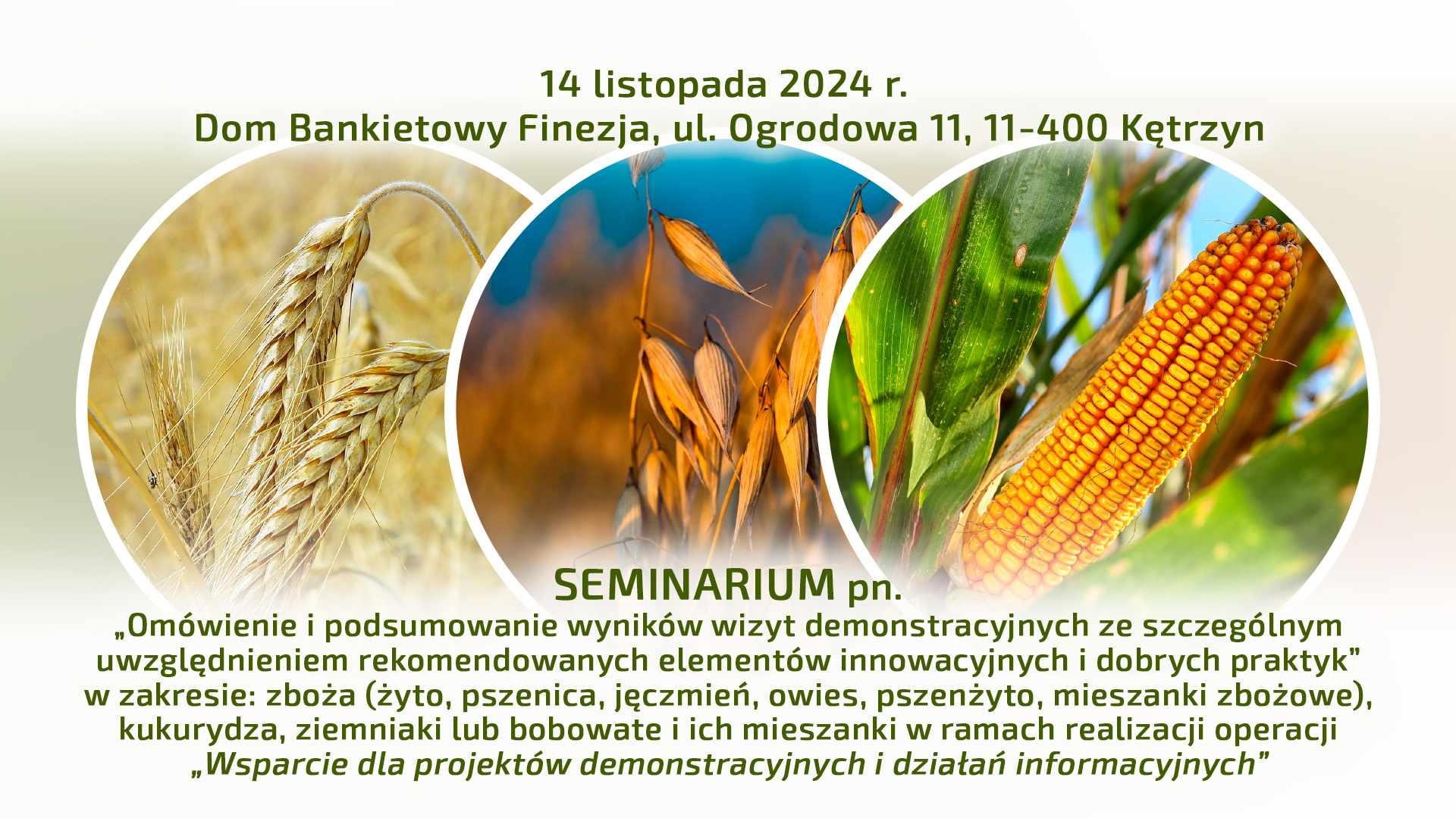 Seminarium podsumowujące wyniki demonstracji w zakresie zbóż, kukurydzy, roślin bobowatych i ich mieszanek oraz ziemniaka 14 listopada 2024 roku Dom Bankietowy Finezja, Kętrzyn ul. Ogrodowa 11