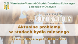 Seminarium „Aktualne problemy w stadach bydła mięsnego” - 28 marca 2023 - seminarium hybrydowe