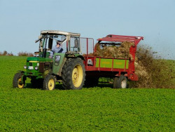 Ekoschemat: Rolnictwo węglowe i zarządzanie składnikami odżywczymi- Praktyka: Wymieszanie obornika na gruntach ornych w ciągu 12 godzin od aplikacji