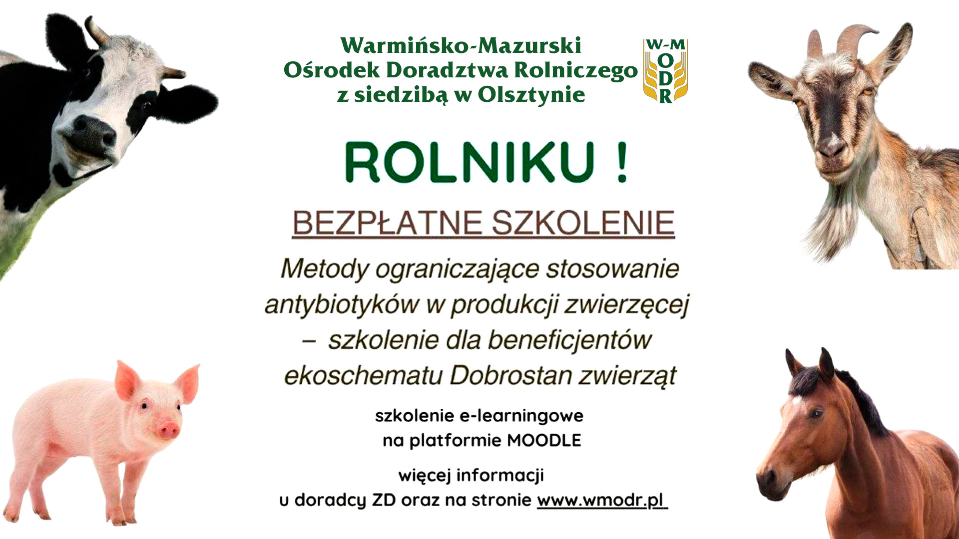 Bezpłatne szkolenie „Metody ograniczające stosowanie antybiotyków w produkcji zwierzęcej – szkolenie dla beneficjentów ekoschematu Dobrostan zwierząt”