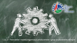 Tworzenie i rozwój organizacji producentów i grup producentów rolnych.