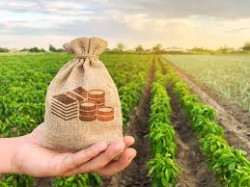 Wysokość składek na ubezpieczenie społeczne rolników w II i III kwartale 2021 r