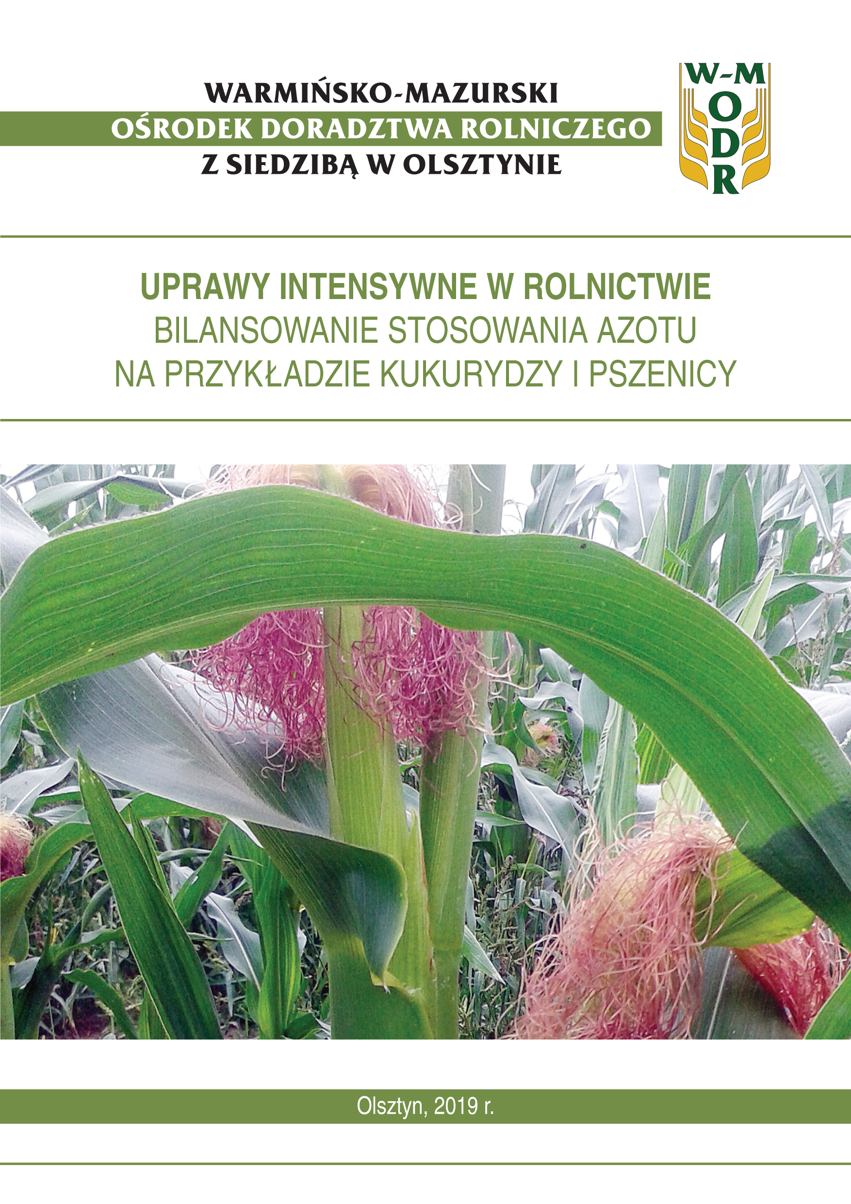 Uprawy intensywne w rolnictwie – bilansowanie stosowania azotu na przykładzie  kukurydzy i pszenicy