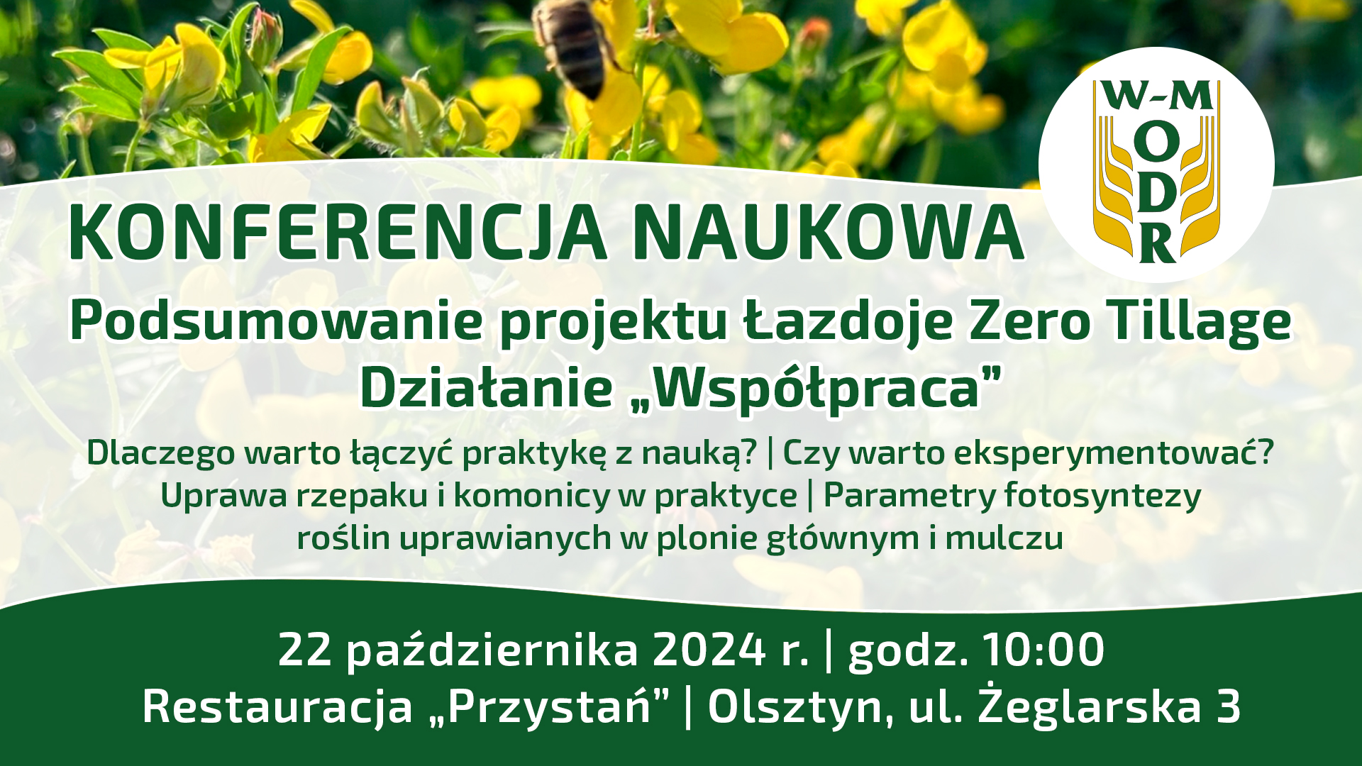 Podsumowanie projektu Łazdoje Zero Tillage Działanie "Współpraca B+R"