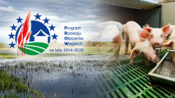 Inwestycje zapobiegające zniszczeniu potencjału produkcji rolnej - nabór wniosków do 26 listopada 2021 r.