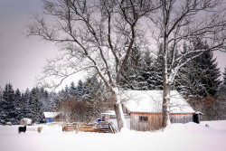Agroturystyka na Warmii i Mazurach - doskonały pomysł na wypoczynek zimą